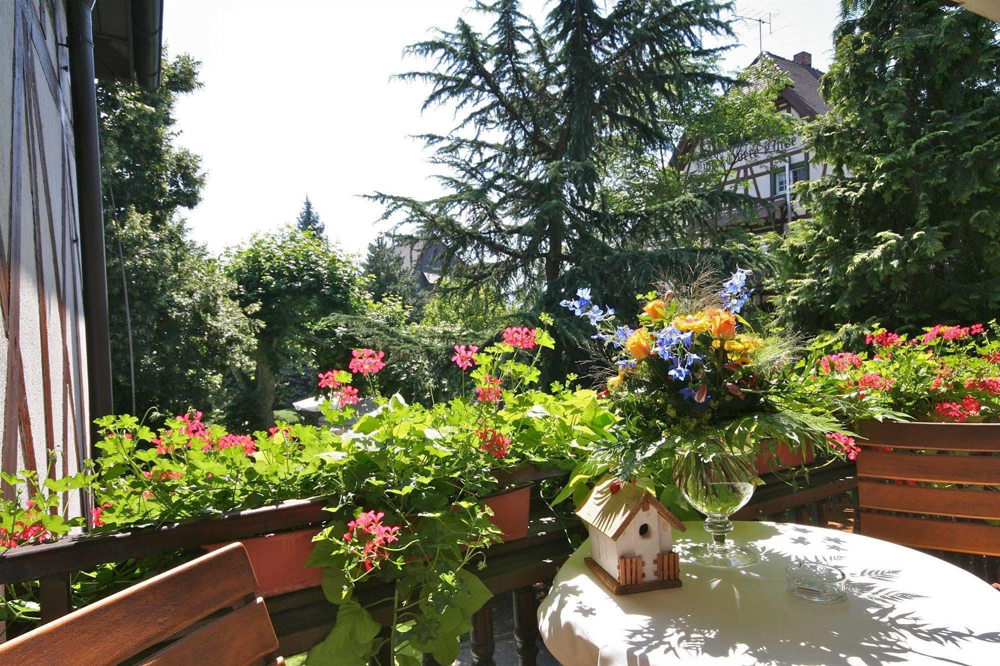 Hotel Obere Linde Oberkirch  Esterno foto
